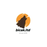 bicakltd android application logo